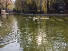 -西安市长乐公园