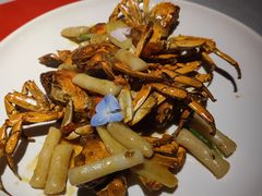 蟹炒年糕-春色如许·茶食餐厅(桃李春风店)