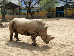 -西安秦岭野生动物园