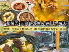 -紫藤园·天目湖大鱼头(南山竹海店)