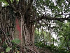 -乌山风景区
