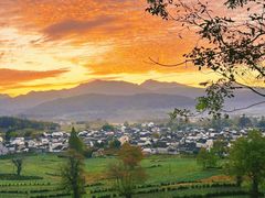 -塔川景区