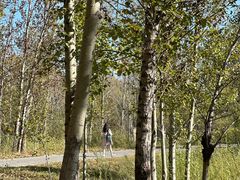 -野鸭湖国家湿地公园