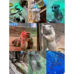 -宝燕乐园(闵行旗舰店)