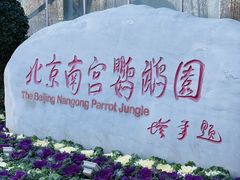 -南宫五洲植物乐园