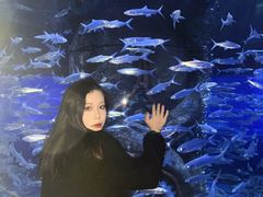 -哈尔滨波塞冬海底世界