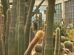 -石家庄市植物园