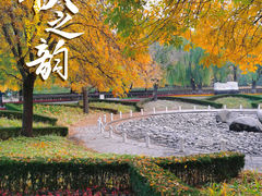 -朝阳公园