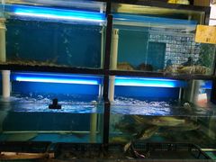 水产区-阿姐小菜(三林店)