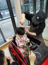 -奇怪的独角兽亲子理发沙龙