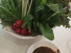 -食家鸽园