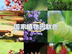 -国家植物园