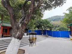 -凤凰山公园-龙王古庙