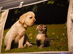 -横琴购口岸商业广场