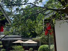 -凤凰山斑鱼馆(恭城店)