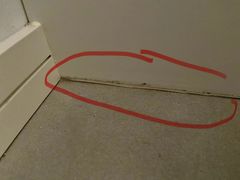 -佰丽爱家全屋定制(汶水店)