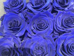 -ROSEONLY诺誓(磐基中心店)