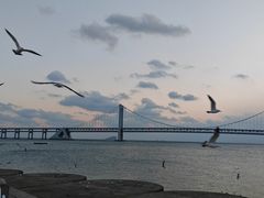 -星海广场