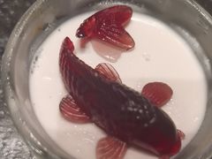 -浩运·海鲜青岛菜·海胆水饺(石老人店)