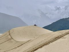-佛掌沙丘