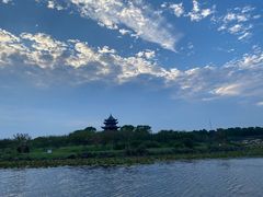 -上海海湾国家森林公园