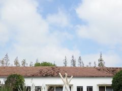 -前小桔亲子创意农场·草莓采摘·露营烧烤