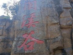 -江西阳明山国家森林公园