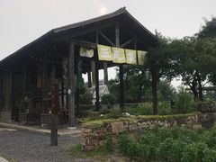 -田园东方蜜桃村的田野营地