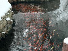 -水磨沟公园