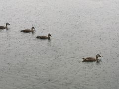 -许府牛火锅(信义坊总店)