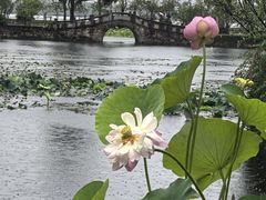 -无锡蠡湖国家湿地公园-蠡园