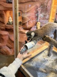 -Zoolung Zoolung动物主题公园(海信广场店)