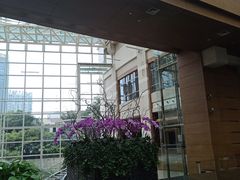 -上海外滩茂悦大酒店