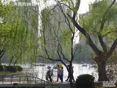 -紫竹院公园冰场