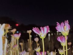 -怡海公园(桂城街道)