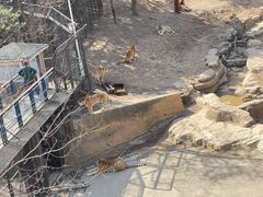 -大连森林动物园