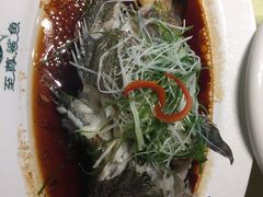 -至尊鲨鱼·原烹海鲜·新浙菜(拱宸桥店)