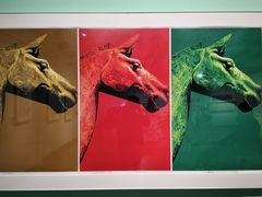 -江苏省美术馆(长江路新馆)