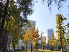 -四川大学(华西校区)