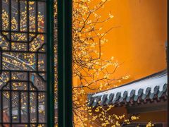 -灵谷景区