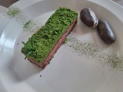 苔藓-知亘茶食