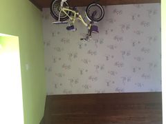 -金山农民画村-枫泾波兰倒置屋