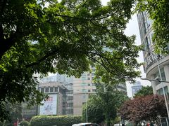 -一只烧鸡公(解放碑店)