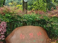 -中国大熊猫保护研究中心雅安碧峰峡基地