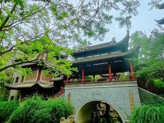 -龙潭水乡