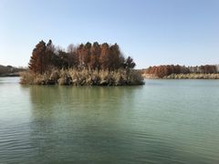 -苏州太湖国家湿地公园