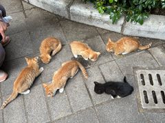 -晓港公园
