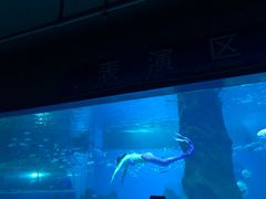 -北戴河圣蓝海洋公园