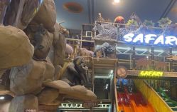 -卡通尼·Safari非洲探索乐园·生日会(金桥国际商业广场店)