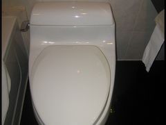 市长&nbsp;(1)-广州中国市长大厦